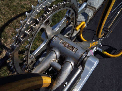 Serotta